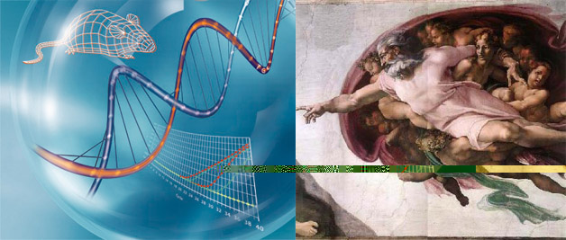 biology and god